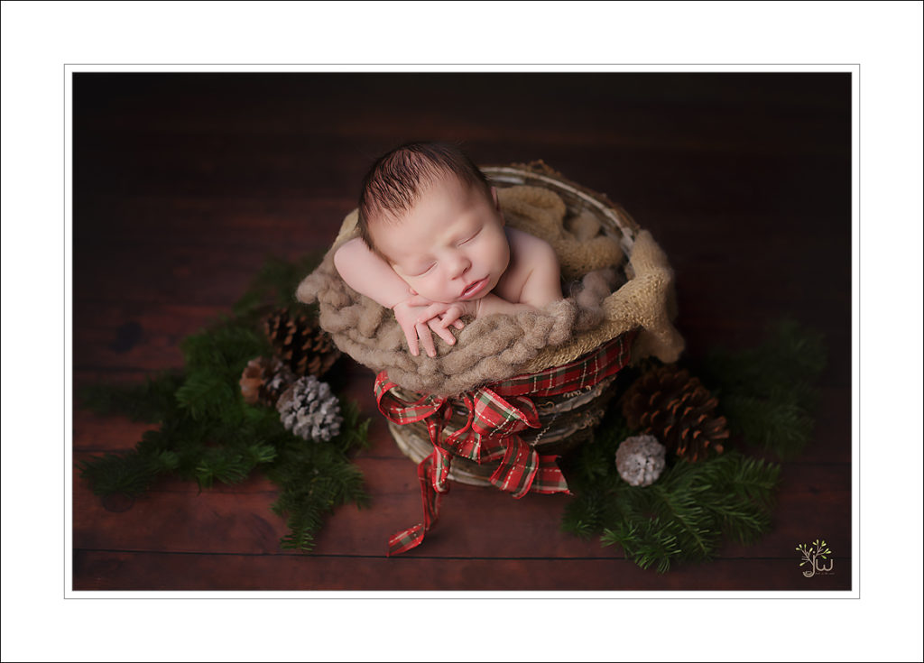 Kirkland baby photographer